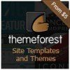 theme-wordpress