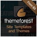 Thèmes WordPress: Comment les choisir?