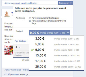 pub-facebook-choix Promouvoir ses publications Facebook pub facebook choix 300x268
