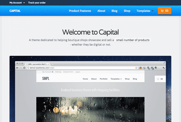 Capital-WordPress-Theme Capital-WordPress-Theme