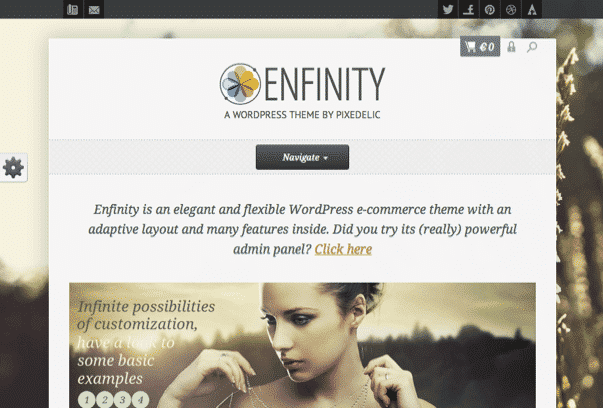 Enfinity-WordPress-Theme Enfinity-WordPress-Theme
