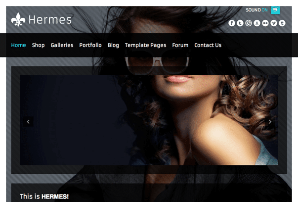 Hermes-WordPress-Theme Hermes-WordPress-Theme