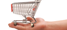 Formation Ecommerce WordPress