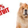 100pour100gratuit