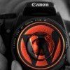 wordpress-photographe
