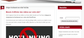 Le Plagiaire et voleur de contenu imbécile