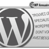 consultant wordpress