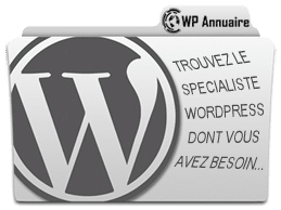consultant wordpress