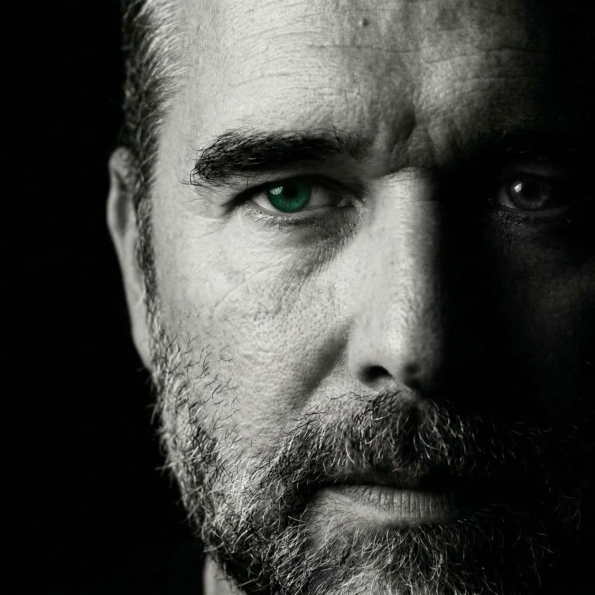 Fabrice Ducarme — Formateur WordPress