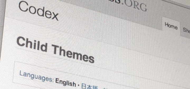 wordpress-theme enfant