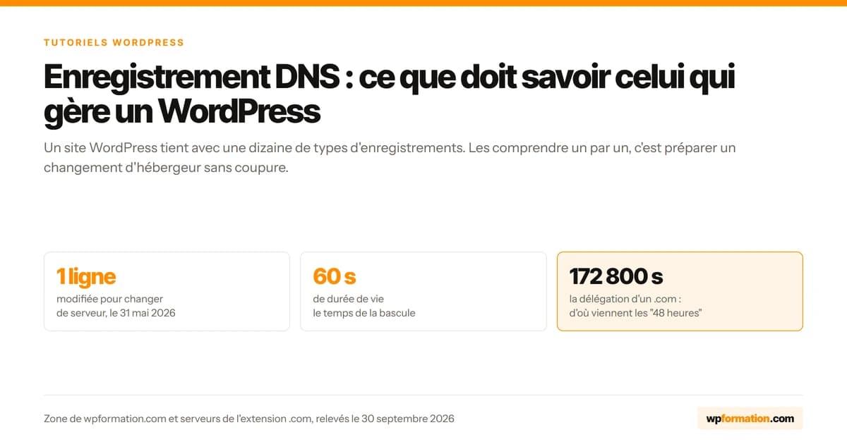 Enregistrement DNS pour un site WordPress, en trois chiffres : une ligne modifiée, 60 secondes, 172 800 secondes