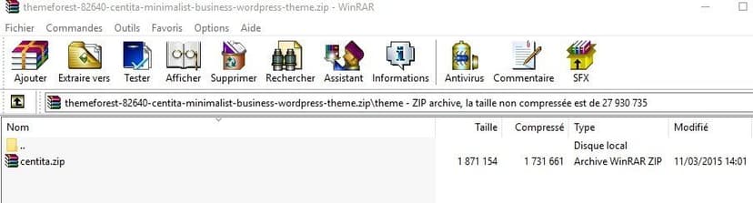 Comment installer un thème WordPress gratuit ou premium ?