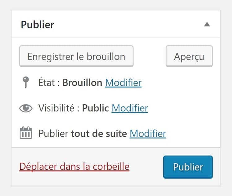 cartouche de publication article WordPress