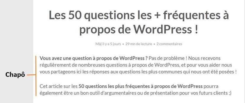 chapo article WordPress