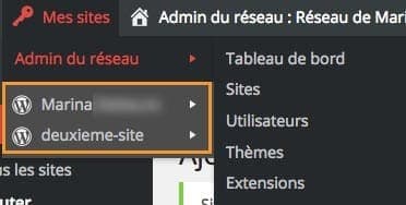 gestion-multisite-menu-admin-10