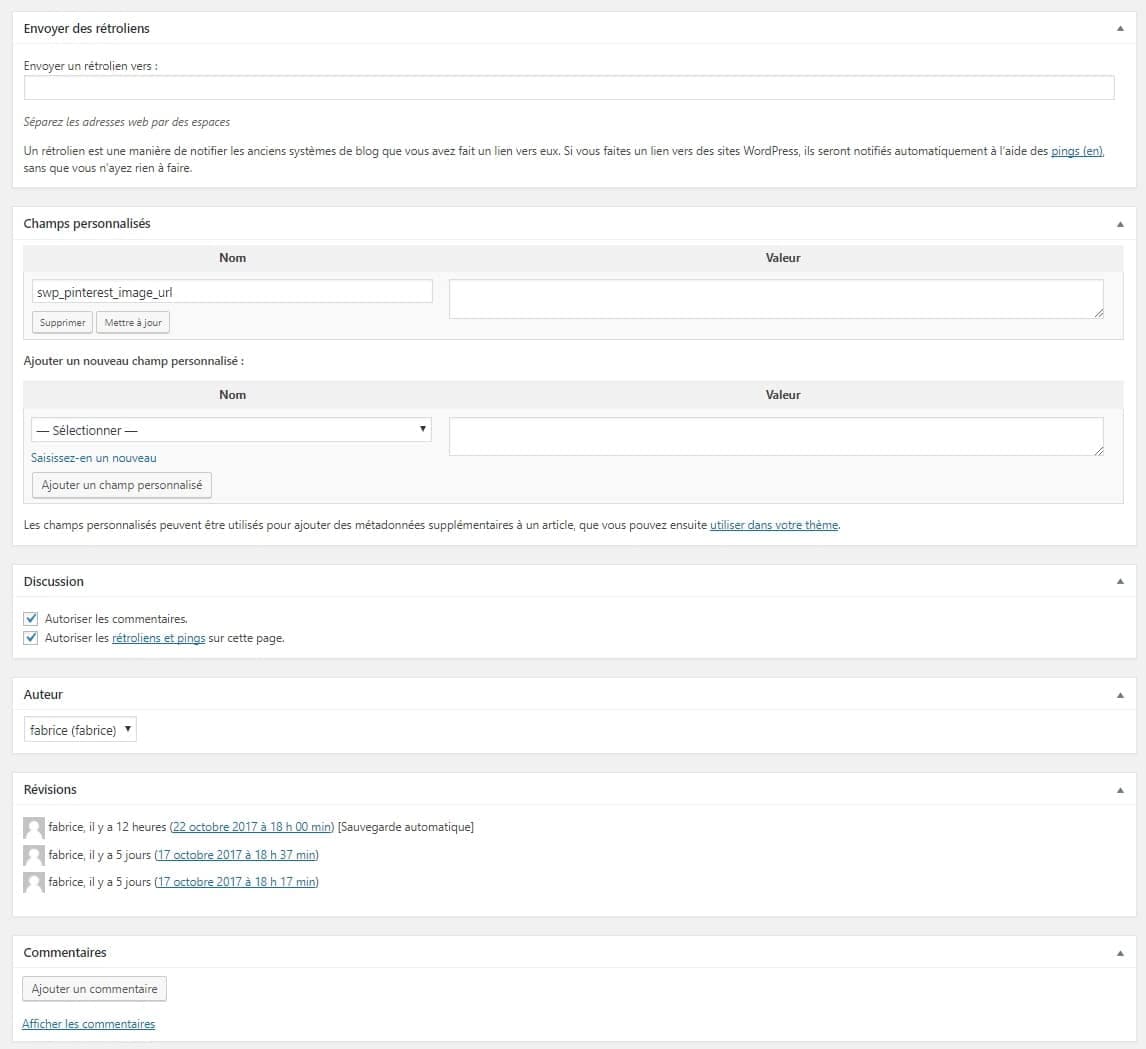 options supplementaire article WordPress