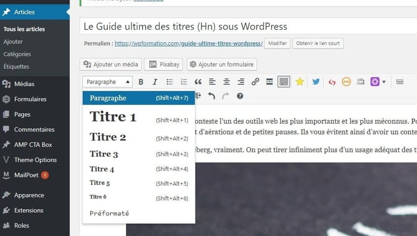 titres wordpress