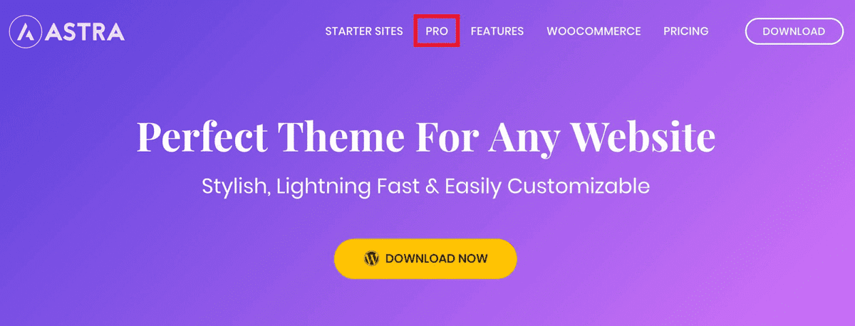 Astra wpformation version pro