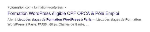 Meta Description Reecrite Par Google