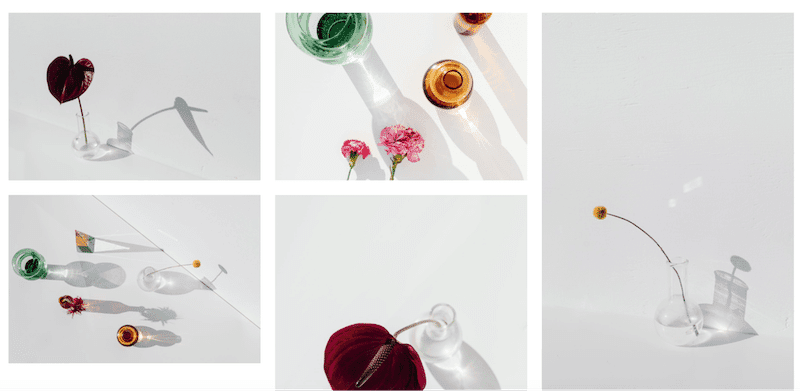 wpformation image libre de droit11