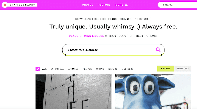 wpformation image libre de droit19