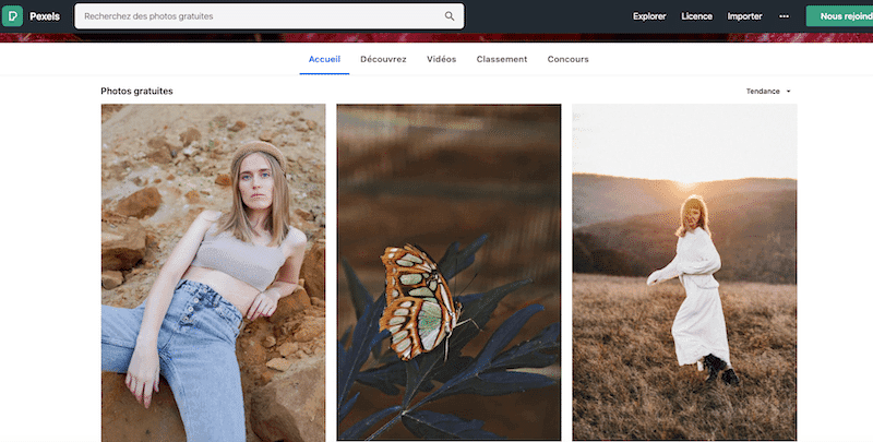wpformation pexel image libre de droit23