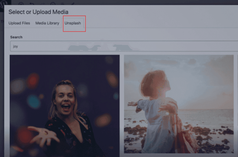wpformation unsplash api