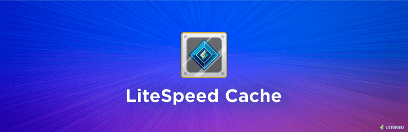 LiteSpeed Cache - plugin de cache WordPress gratuit
