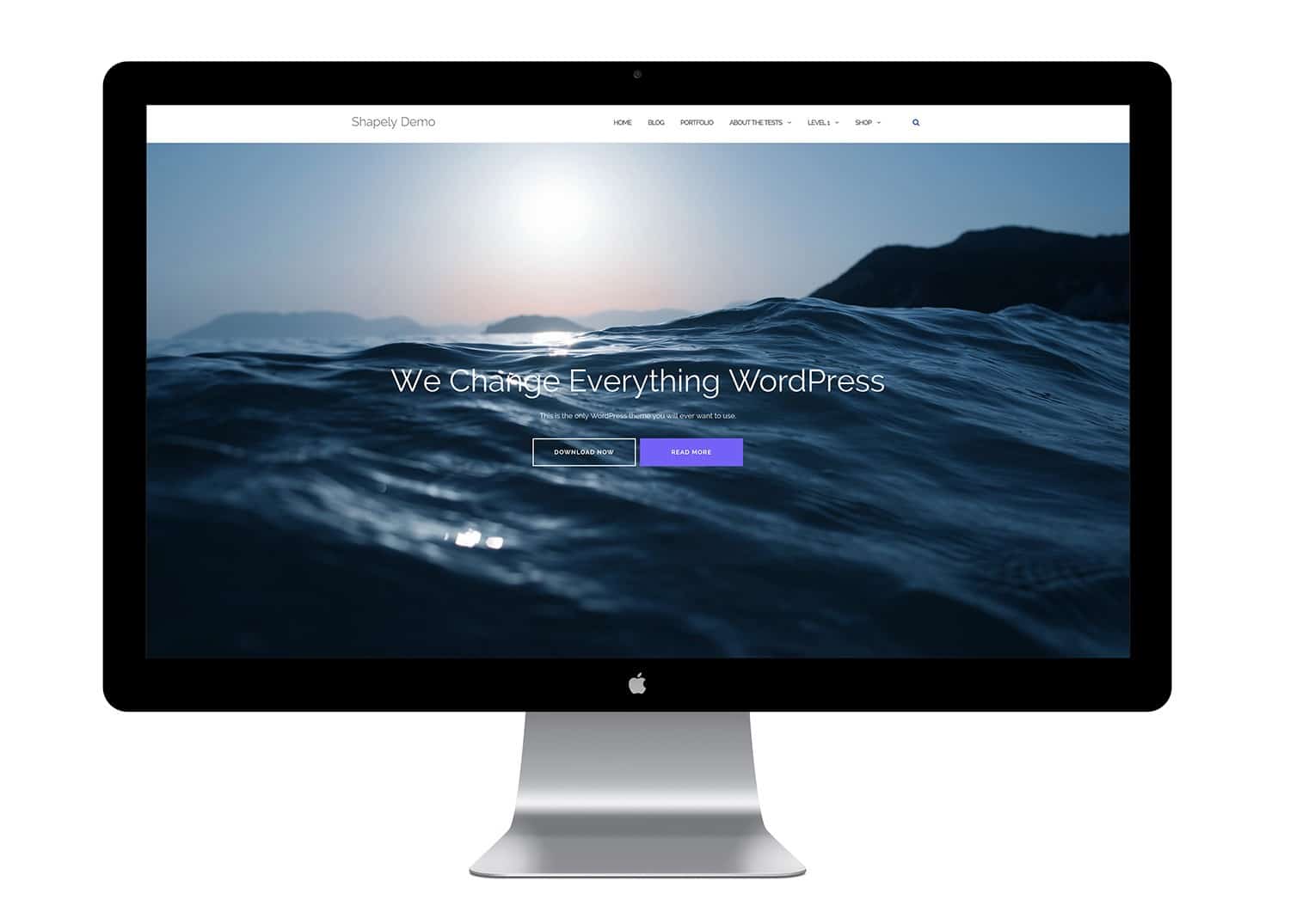 Thème WordPress Gratuit Shapely