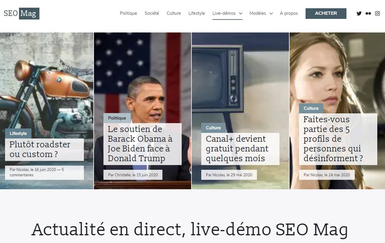 Theme Wordpress Seo Mag