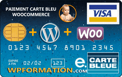 Paiement carte bleue WooCommerce