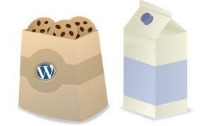 Loi cookies wordpress