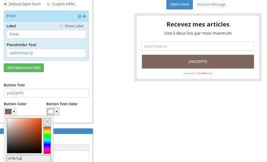 design du formulaire d'abonnement mailmunch