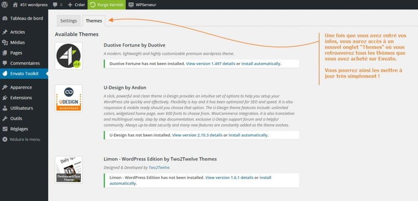 mise a jour thème WordPress premium