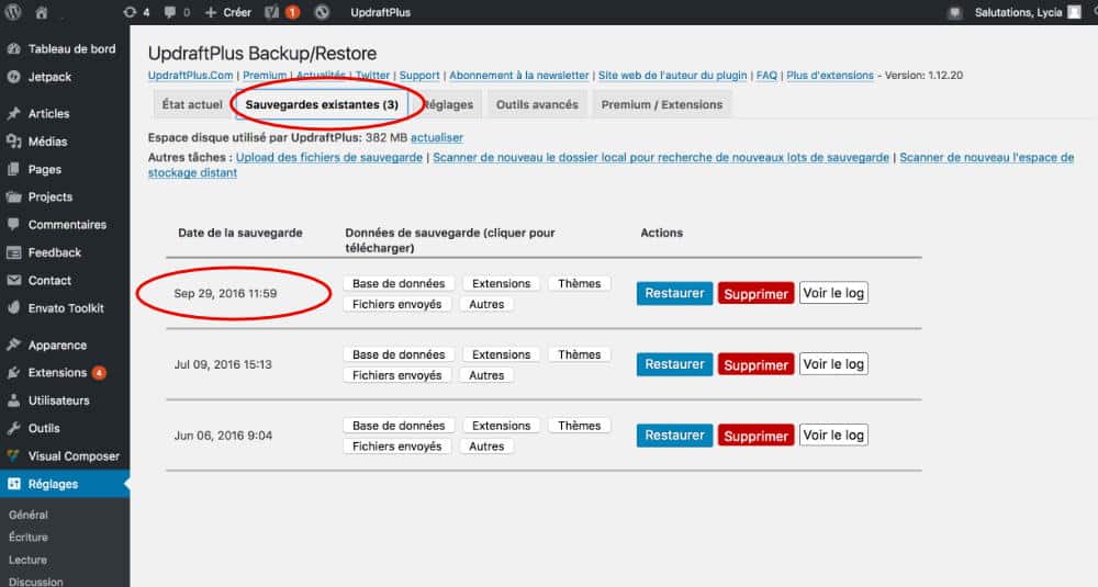 Sauvegarde UpdraftPlus effectuée