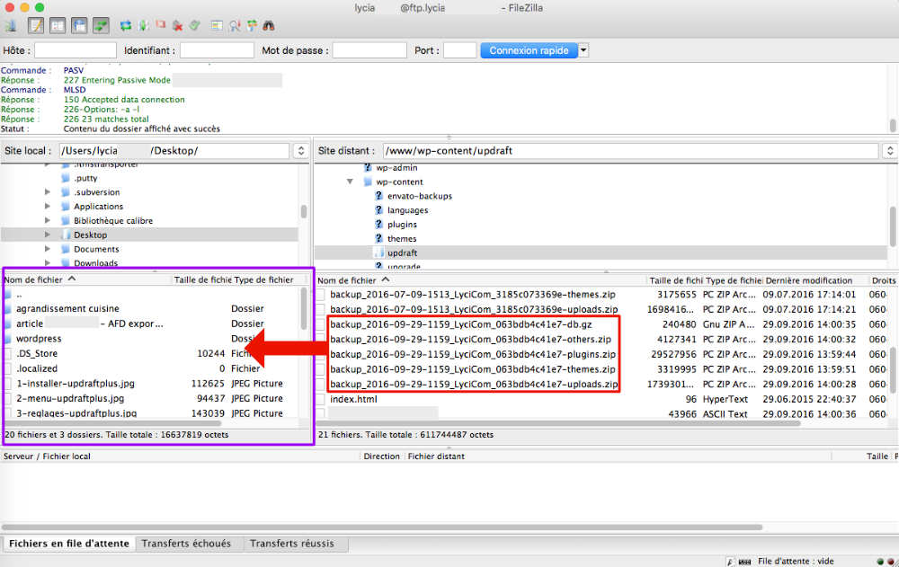 Récupérer la sauvegarde du site