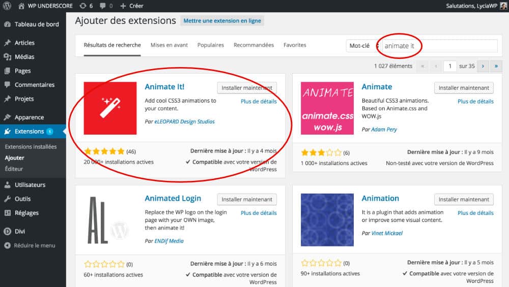Installation Plugin Animate It