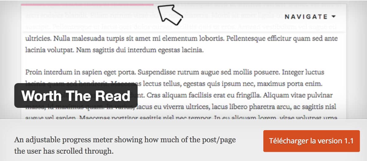 Plugin WordPress - Worth The Read