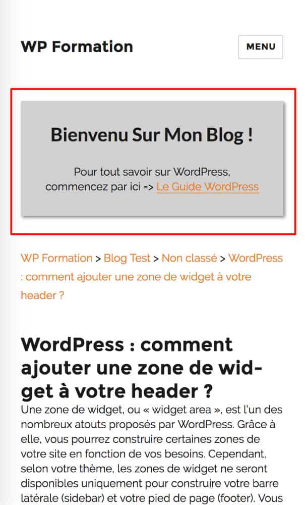 Header - Version mobile