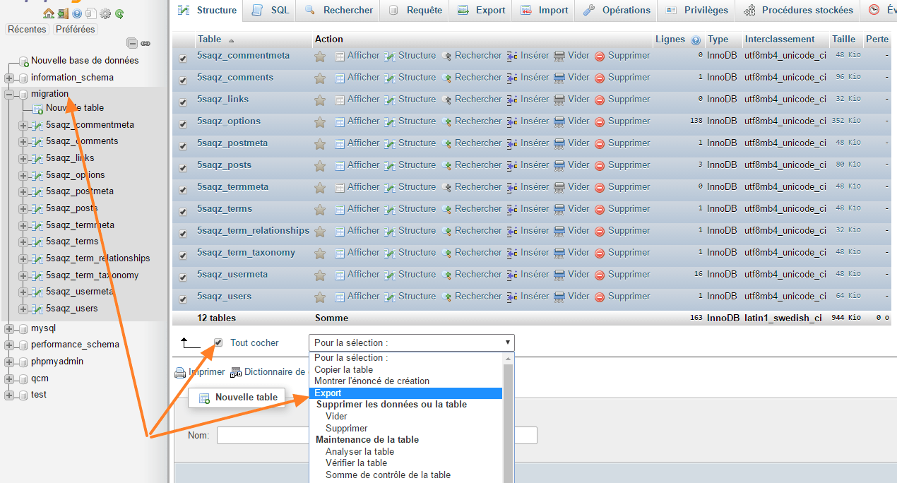 PhpMyAdmin local — sélection des tables pour exporter la base de données WordPress