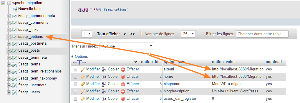 PhpMyAdmin — table wp_options affichant l'URL locale à remplacer après migration