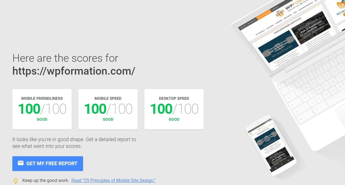 100 google pagespeed WordPress