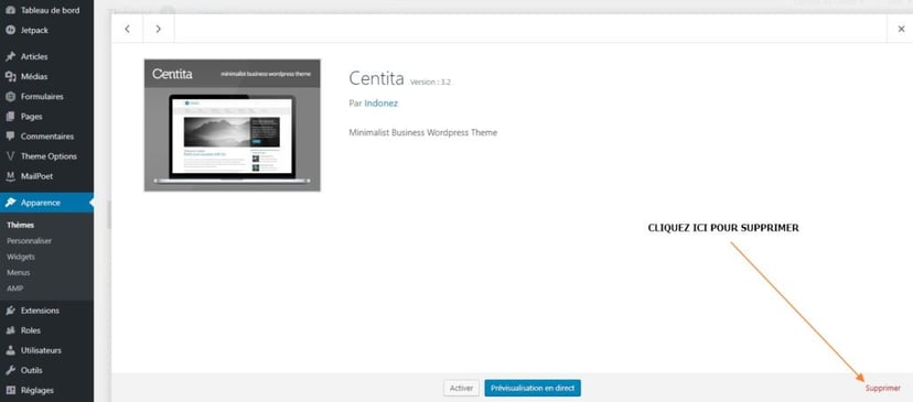 DESINSTALLER THEME WORDPRESS Comment installer un thème WordPress gratuit ou premium ?
