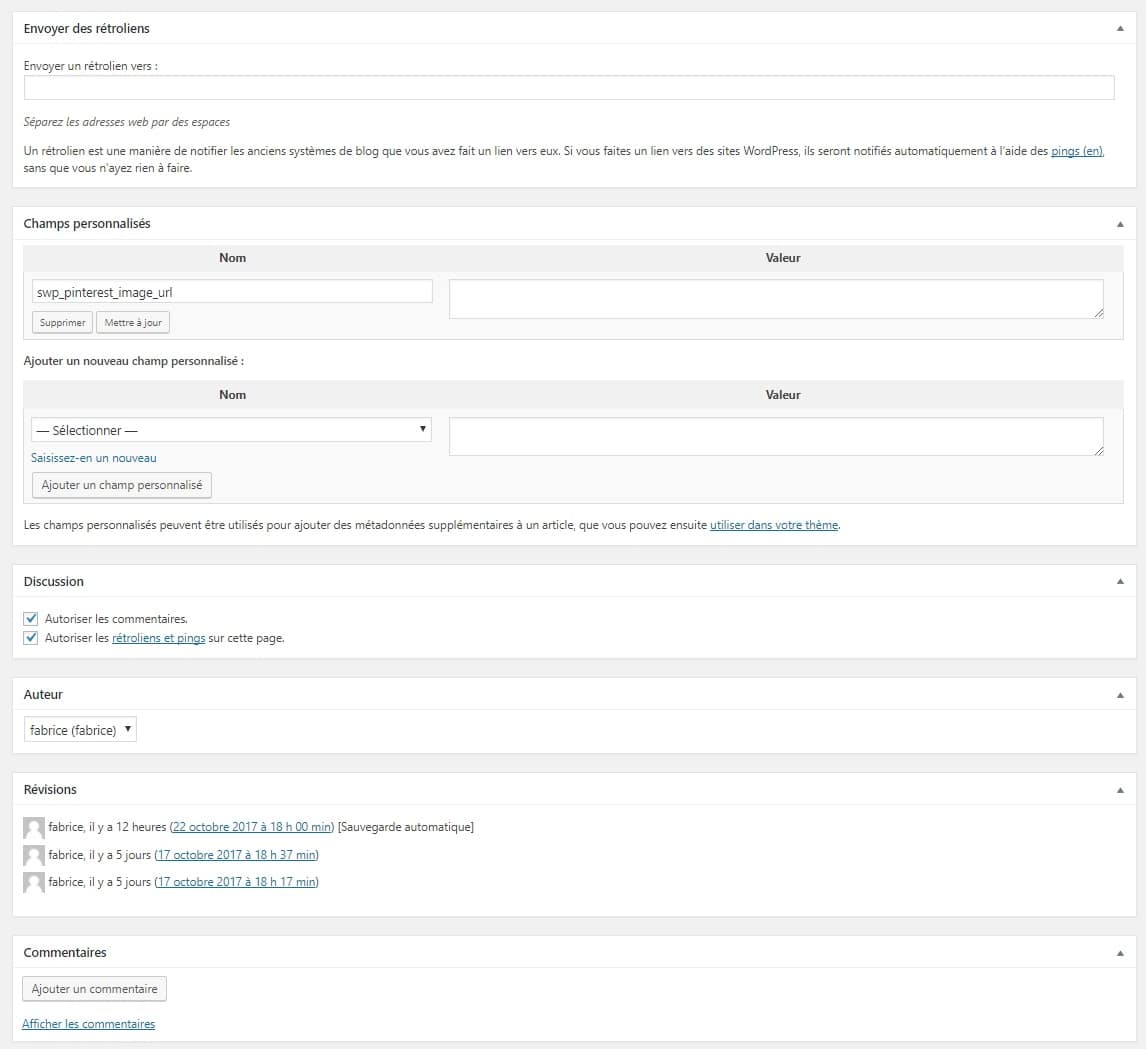 options supplementaire article WordPress