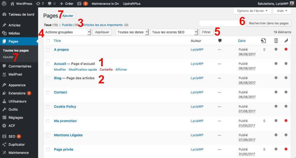 Toutes les Pages WordPress