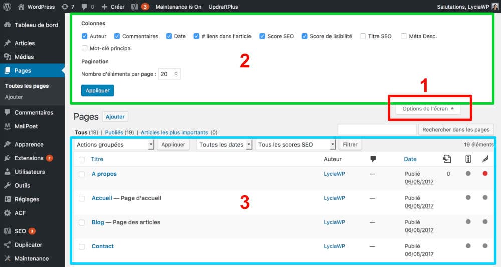 Options d'affichage de l'écran