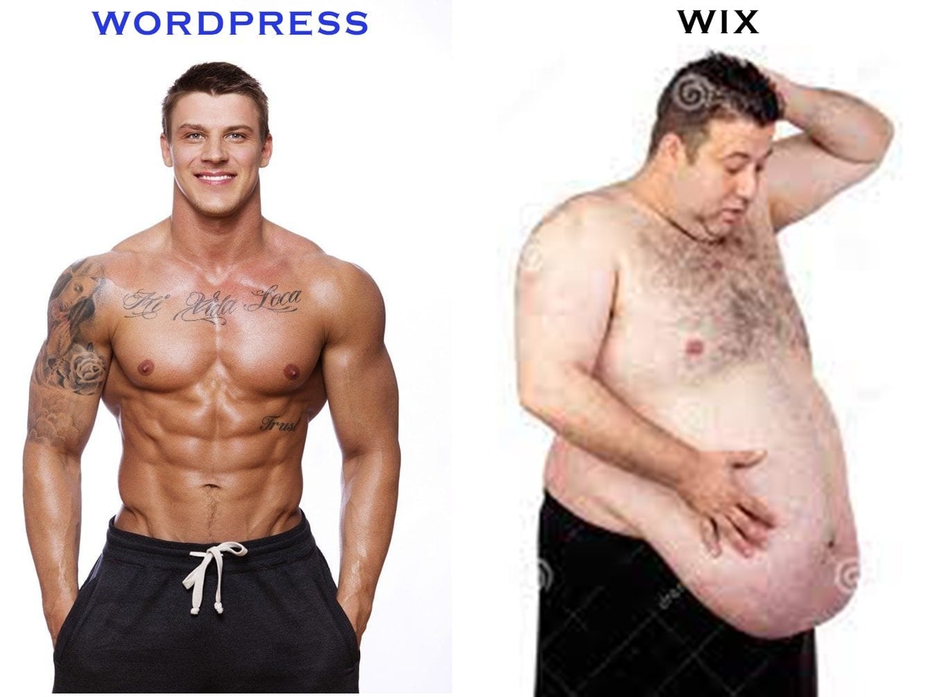 wordpress vs wix