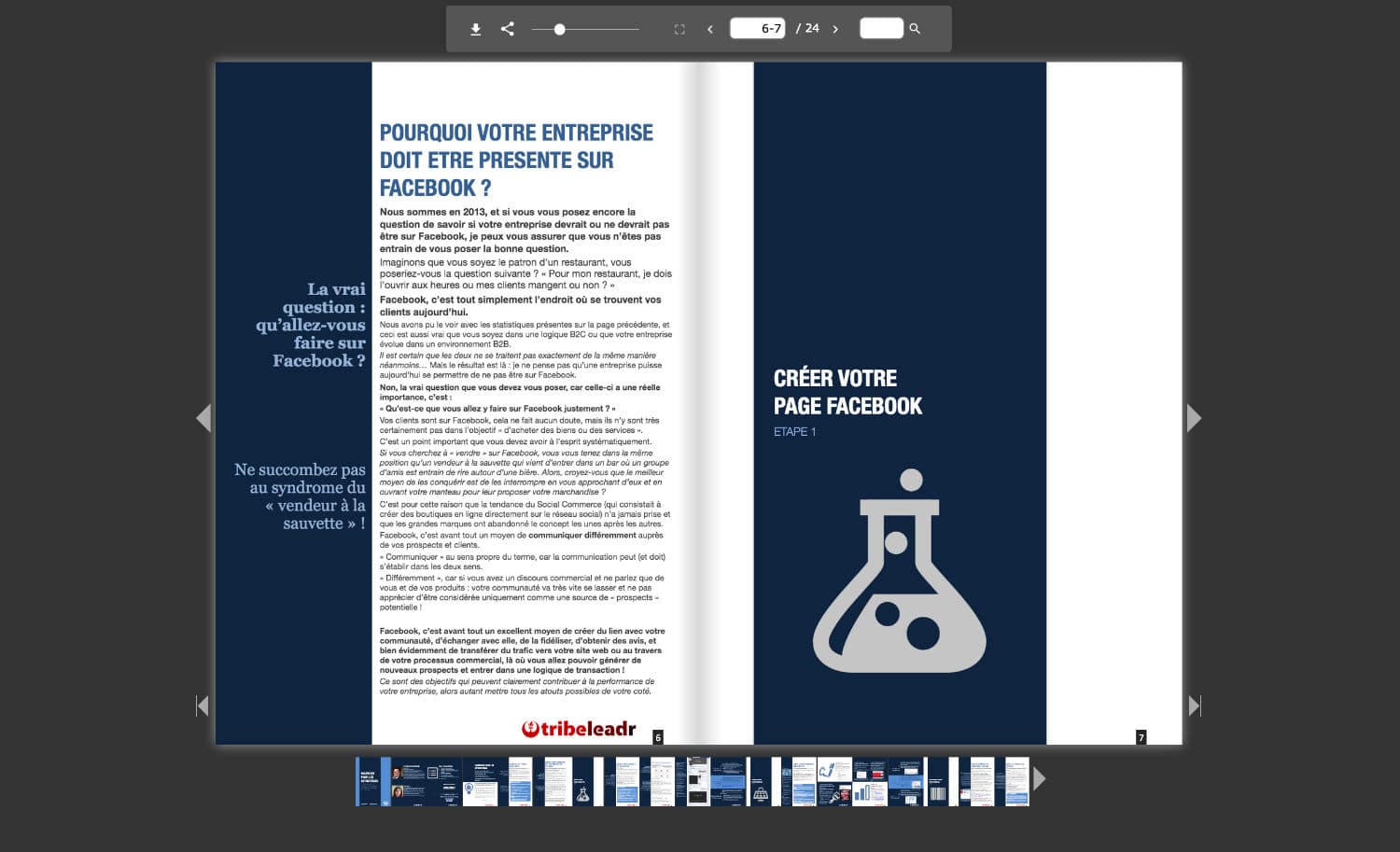 FlowPaper fullscreen