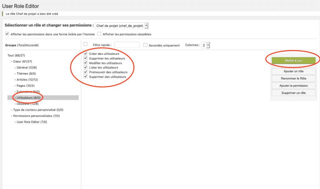 user_role_editor_panel
