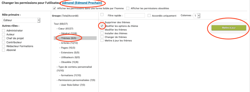 user_role_editor_panel